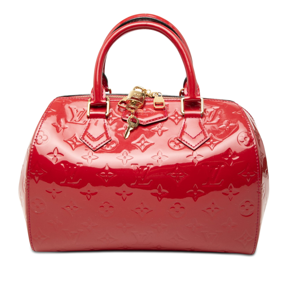 Pre-Loved Louis Vuitton Monogram Vernis Montana